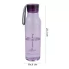 LOCKNLOCK Eco Bottle 550ml purpurinė