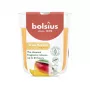 BOLSIUS True Scents mango kvapni žvakė stikliniame inde Ø80x73mm