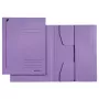 LEITZ Jurismappe 3924 DIN A4 violetinė byla