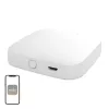 MOES BHUB-W Wi-Fi/Bluetooth Mesh tinklo šliuzas