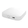 MOES BHUB-W Wi-Fi/Bluetooth Mesh tinklo šliuzas