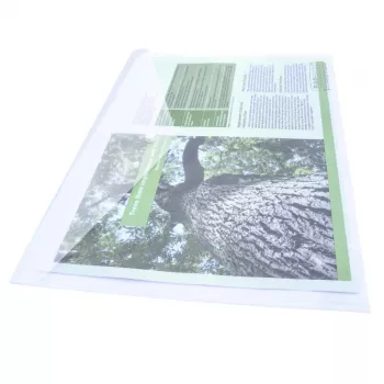 Rapesco ECO GRS A3 dokumentų aplankai, permatomi, 10 vnt. 1817