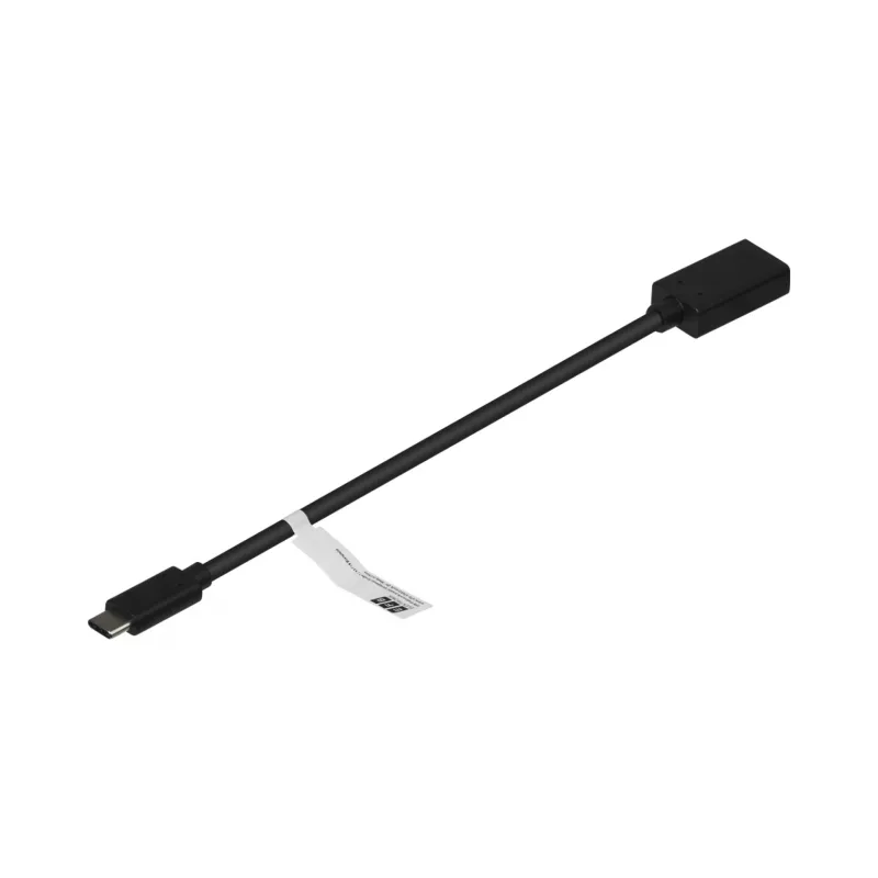 EFB-Elektronik USB-C į DisplayPort 1.2 adapteris, 4K 60 Hz, juodas