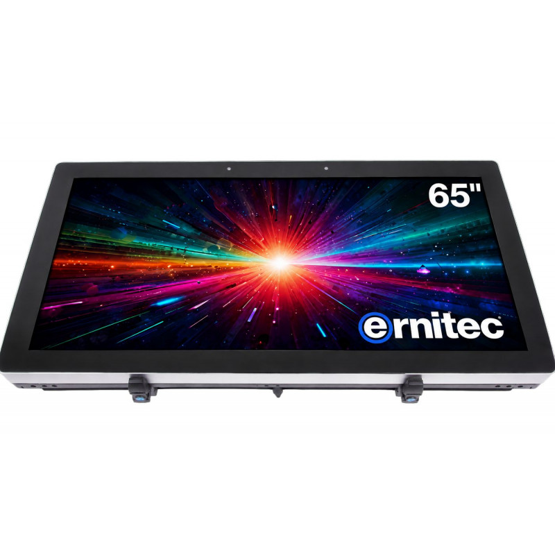 Ernitec 65 inch 24/7 4K UHD monitorius (0070-24165-HB3000-L)