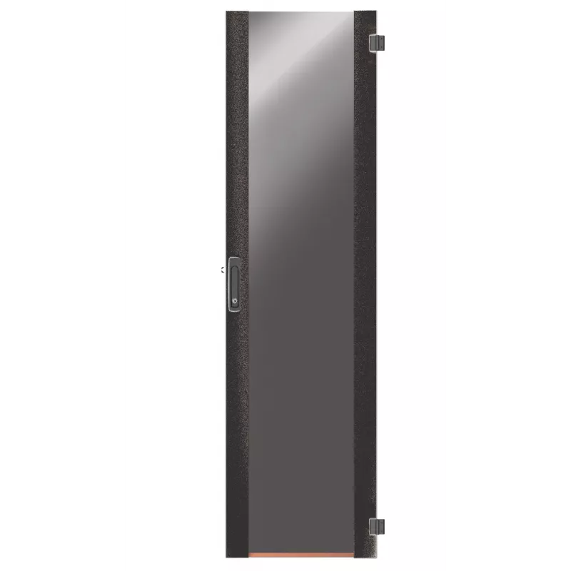 EFB Elektronik PRO Rack durys, šviesiai pilkos RAL 7035 (PRO-TUR426G1.GR)