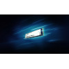 Kingston NV3 500GB M.2 2280 PCIe 4.0 x4 NVMe vidinis SSD (SNV3S/500GBK)