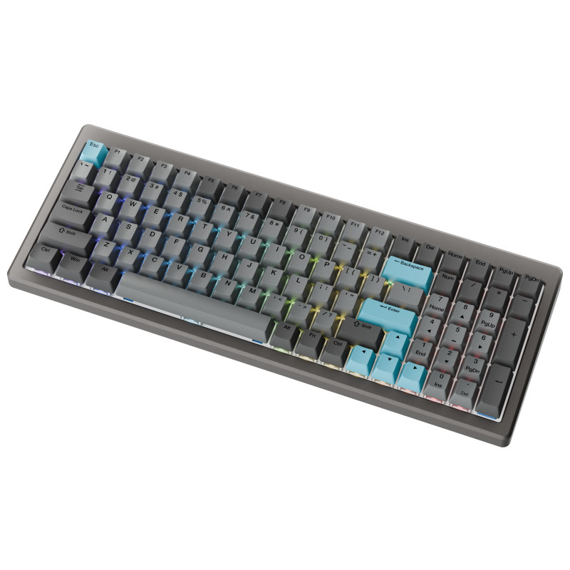Ducky Cushion 98 žaidimų klaviatūra, 96%, US išdėstymas (ANSI), Shush raudoni jungikliai - Nickel (DKCUS2598-DSUSPHCC3H1)