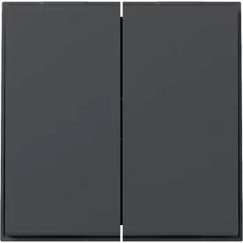 Gira TX44 dvigubas jungiklio klavišas, tiesus, antracito spalvos, 349567