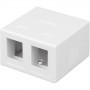 Techly 366310 paviršinio montavimo dėžutė 2 Keystone moduliams RJ45 arba RJ11/12