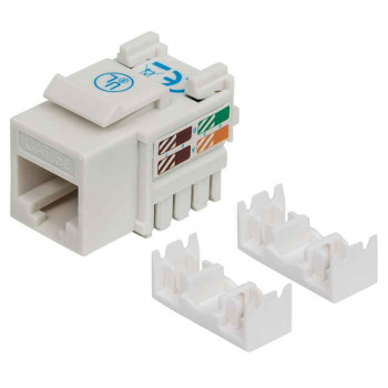 Intellinet 210355 Keystone modulis RJ45 UTP Cat5e, Punch-Down, baltas