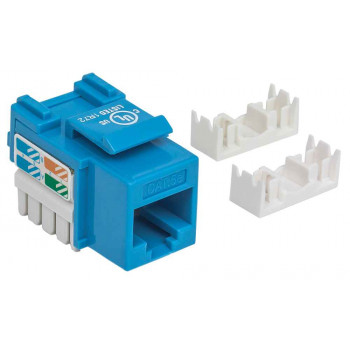 Intellinet 210546 Keystone modulis RJ45 UTP Cat5e, spaudžiamasis, mėlynas