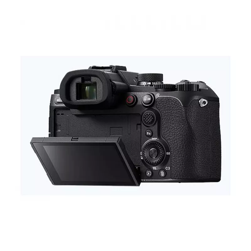 Sony skaitmeninis fotoaparatas DSC-RX10 V