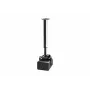 celexon lubinis tvirtinimas universalus MultiCel 60110 Expert ST projektoriams