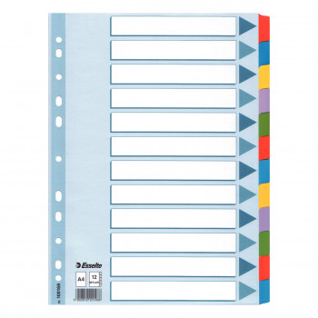 Esselte tušti registro skirtukai, A4 viso formato, kartonas 160 g/m² (100169)