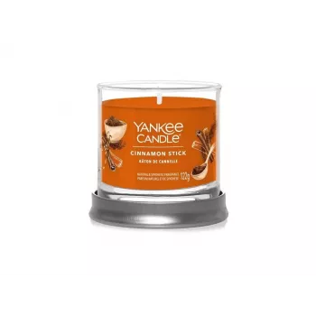 Yankee Candle Cinnamon Stick žvakė stiklinėje su 1 dagčiu