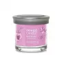 Yankee žvakė stiklinėje su 1 dagtimi, Wild Orchid