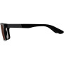 Leatt TheViz Sierra Polarized dviračių akiniai, juodi/sidabriniai