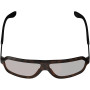 Leatt TheViz Andes Polarized dviračių akiniai, rudi