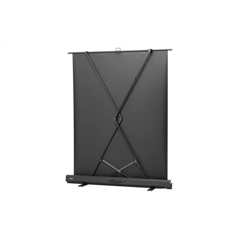 celexon Professional mobile plus projekcinis ekranas, 51" (131 cm)
