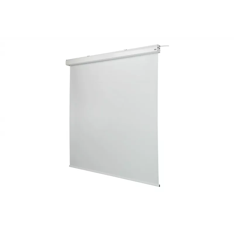 celexon Expert ekranas su varikliu, 130" (330 cm), 230 V