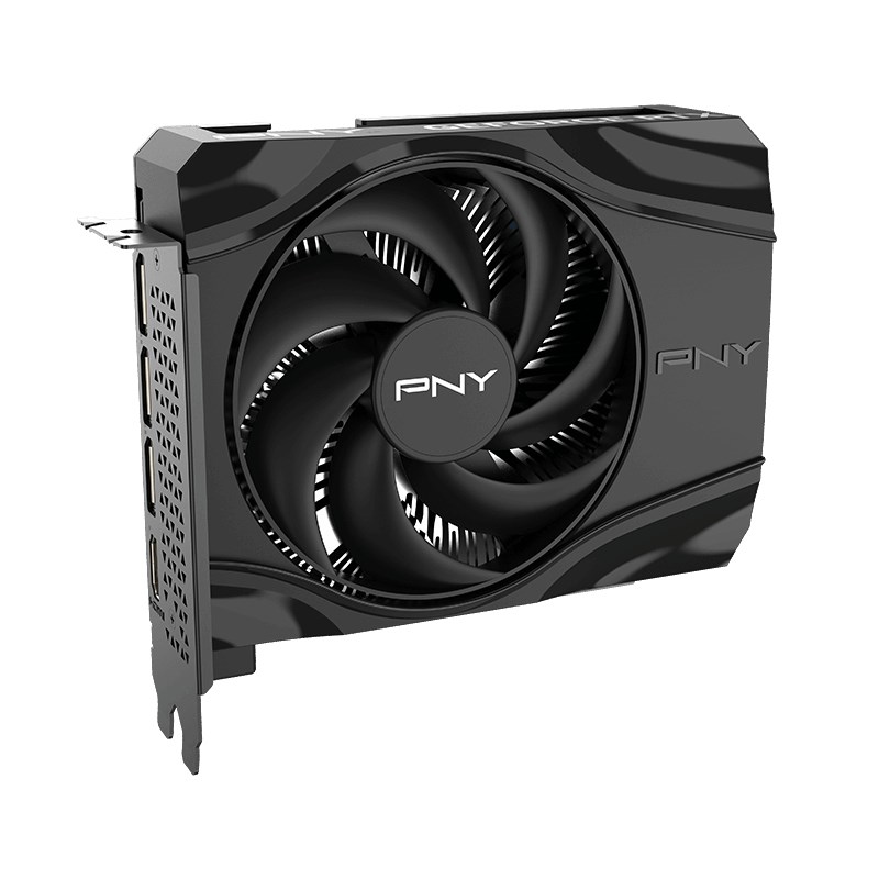 PNY GeForce RTX 5060 Single Fan vaizdo kortelė, 8 GB GDDR7 (VCG50608SFXPB1)