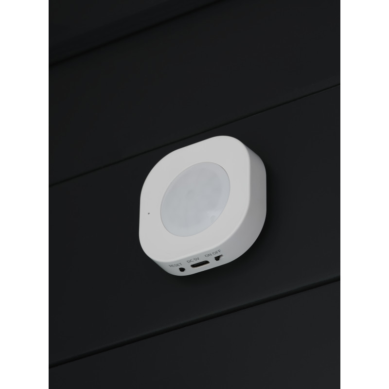 Osram SMART+ WiFi judesio detektorius, baltas