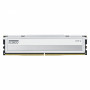 Klevv Fit V KD5AGU880-56K300Q DDR5-5600 CL30 16 GB RAM modulis