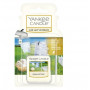 Yankee Candle Ultimate Clean Cotton kabantis automobilio oro gaiviklis