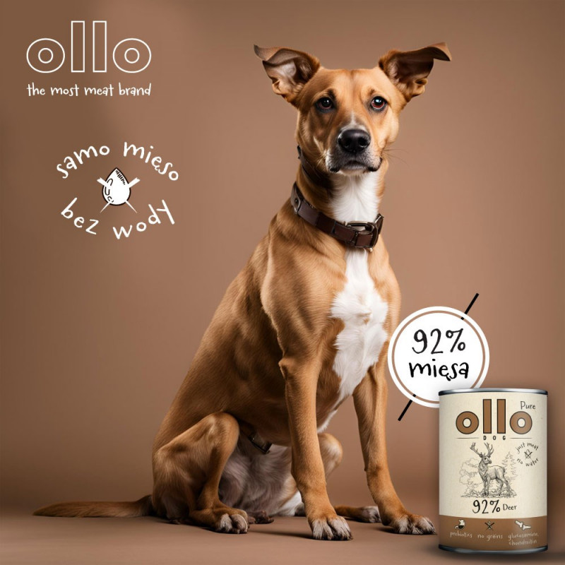 OLLO Pure Deer šlapias šunų ėdalas, 850 g