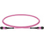 Lightwin MPO-12 šviesolaidinis komutacinis kabelis OM4, 12F, UPC Female-Female, Type B, 5 m, LSZH