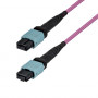 StarTech.com OM4MTP12BOFNP5M MTP/MPO-12 daugiamodis šviesolaidinis komutacinis kabelis (5 m)
