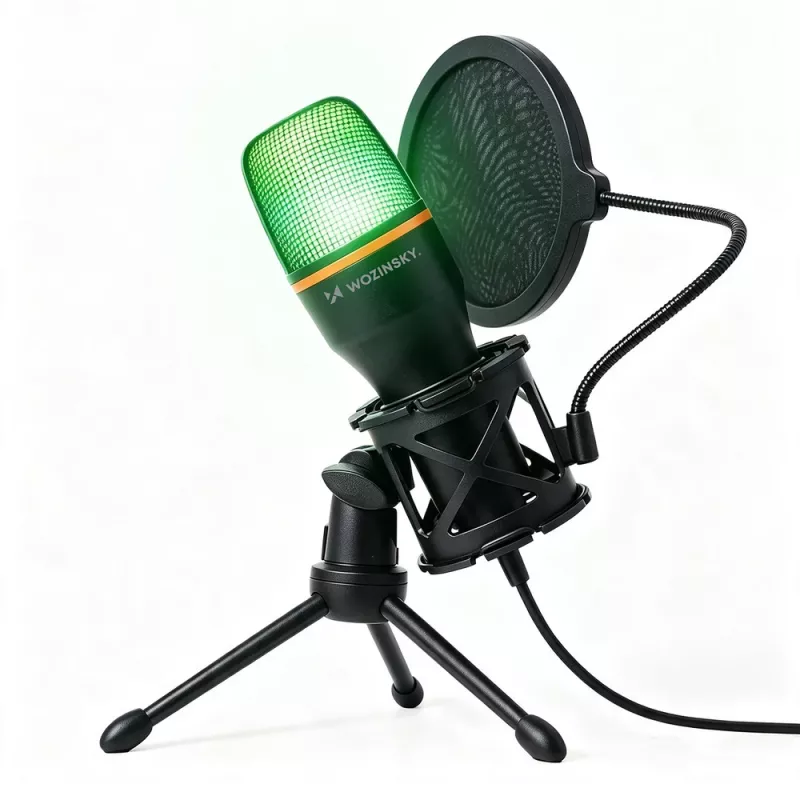 Wozinsky WM-W111 laidinis studijinis žaidimų mikrofonas su stovu ir RGB apšvietimu, juodas