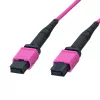 LogiLink MPO kabelis 12 gijų OM4, MPO/PC F/F, B tipas, 1 m (FM7LC01)
