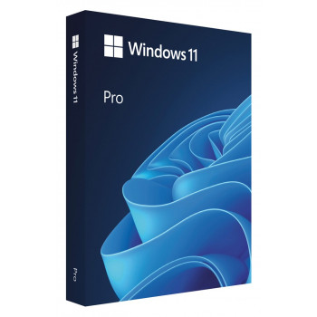 Microsoft Windows 11 Pro BOX, 64-bit, lenkų kalba, USB atmintinė (HAV-00209)