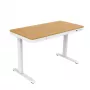 ACJ ACTIVEJET elektrinis aukščio reguliavimo stalas 120x60 ET119S Baltas/Ąžuolas