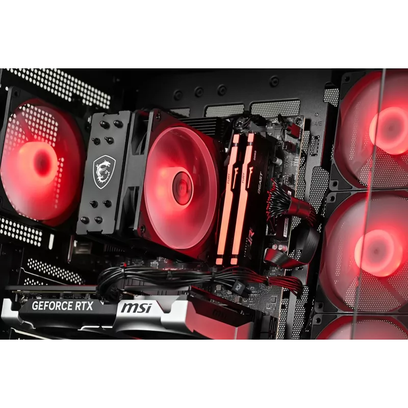 Actina stalinis kompiuteris AMD Ryzen 5 5600 16GB DDR4 500GB SSD NVIDIA GeForce RTX 5060 Windows 11 Home Midi Tower juodas