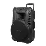 ACTIVE KEY aktyvi garso kolonėlė su 2 belaidžiais mikrofonais UHF, SD, Bluetooth, FM, USB, 60 W