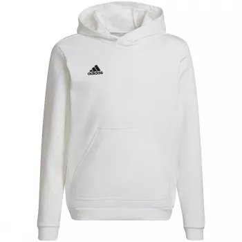 adidas Entrada 22 Hoody Kids Megztinis Baltas HG6303 Dydis 128