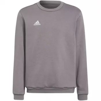 adidas Entrada 22 megztinis pilkas, jaunimo 128 cm | Kur.lt