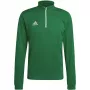 adidas Entrada 22 treniruočių viršus vyrams, žalias, HI2129, L dydis