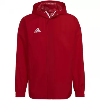 adidas vyriška Entrada 22 visų orų striukė raudona IK4009