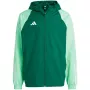 adidas Tiro 23 Competition All Weather vyriška striukė žalia IC4570