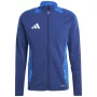 adidas Tiro 24 Competition vyriškas treniruočių megztinis, Team Royal Blue