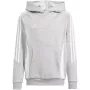 adidas Tiro 24 gobtuvinis megztinis Medium Grey Heather, jaunimo, 140 cm