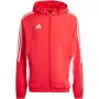 adidas Tiro 24 vyriška treniruočių striukė, raudona, IM8809, dydis L | Kur.lt