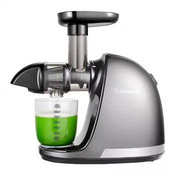 AMZCHEF 1501-GA Slow Juicer (Grey) – Lėtas sulčiaspaudė