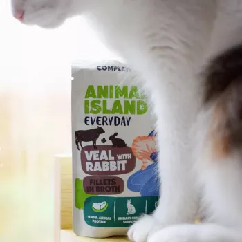 ANIMAL ISLAND Veršiena / Triušis ir kalakutiena / Tunio filė sultinyje šlapias kačių maistas, 4 x 85 g pakeliai, be grūdų, suaugusioms katėms