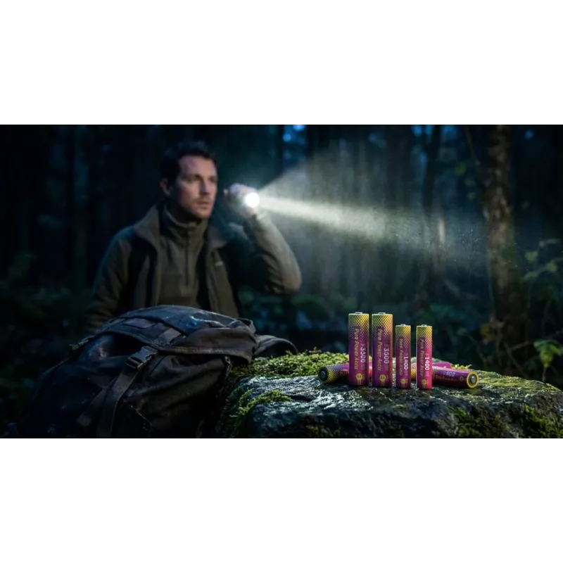 ANSMANN PurePower Set AA įkroviklis su 4x AA 3500 mAh Li-Ion baterijomis (1001-0183)