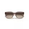 Arnette AN4325-290613 Vyriški Akiniai nuo Saulės Matiniai Juodi Tamsiai Pilki 53mm
