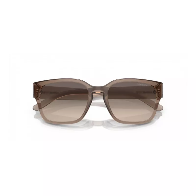 Arnette AN4325-290613 Vyriški Akiniai nuo Saulės Matiniai Juodi Tamsiai Pilki 53mm